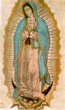 Hoy celebré a la Virgen de Guadalupe